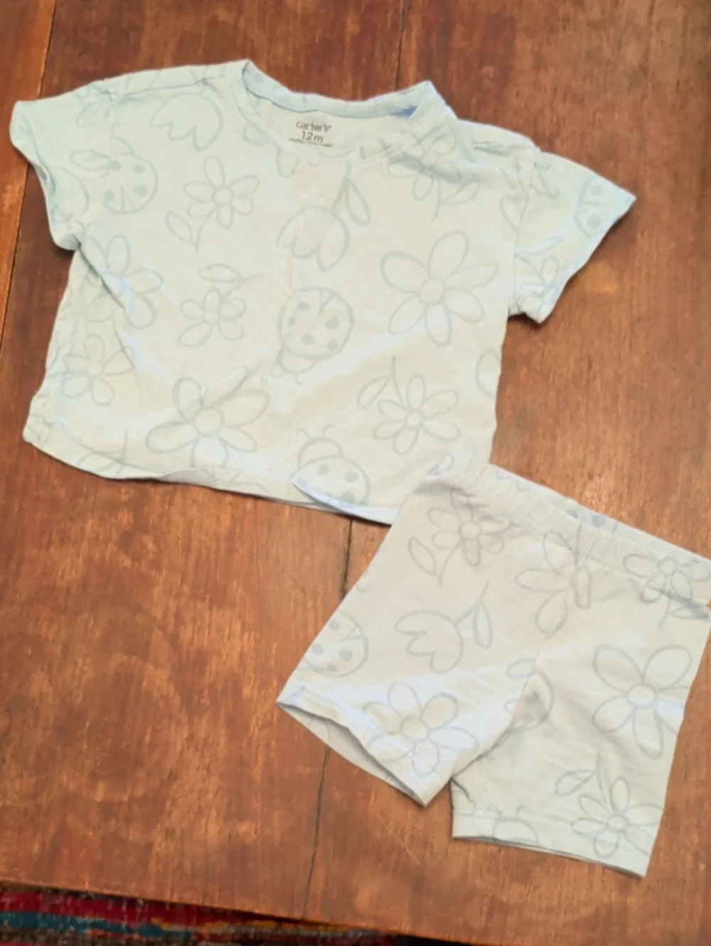Carter's Pale Blue Floral & Ladybug Pajama Set